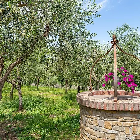 Rosi Laureana Cilento