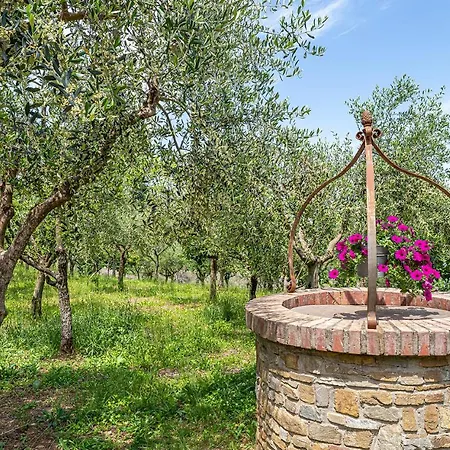 Rosi Laureana Cilento